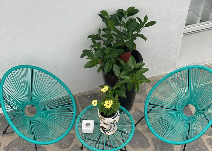 Vendégház Domo Nea 3*